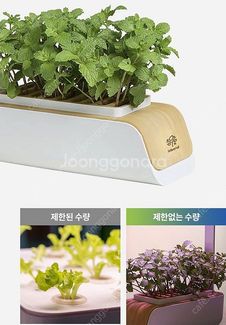 스마트 식물 재배기 새상품--1